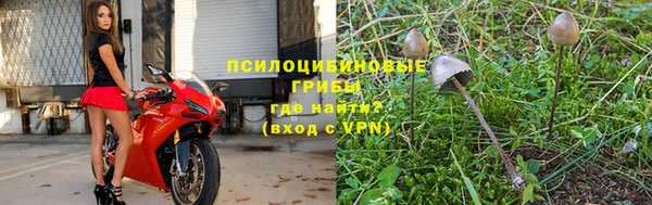 ПСИЛОЦИБИНОВЫЕ ГРИБЫ Наволоки