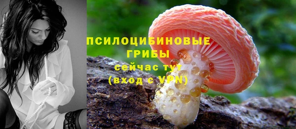 спиды Алексин