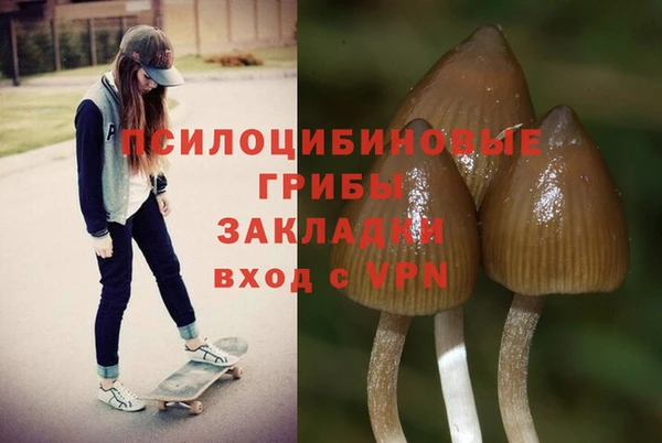 твердый Надым