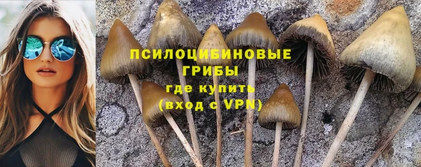 ALPHA-PVP Алзамай